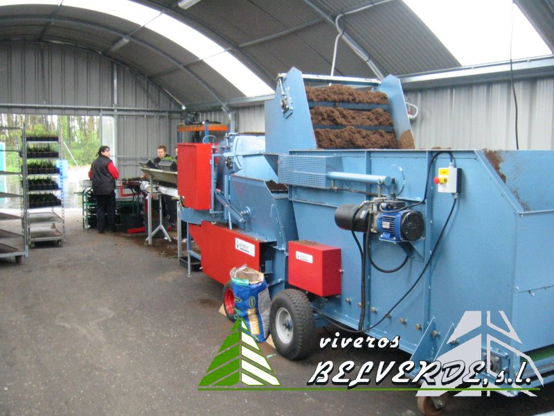 vivero_de_engorde_de_planta_de_conifera