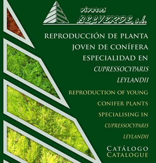 Books_conifer